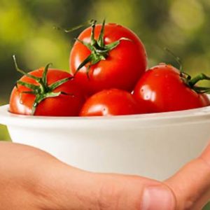 Tomato For Weight Loss