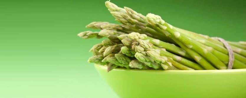 foods that burn belly fat