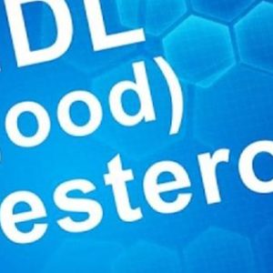 LDL & HDL Cholesterol