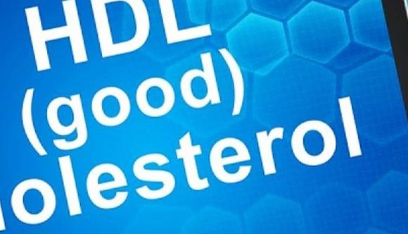 LDL & HDL Cholesterol