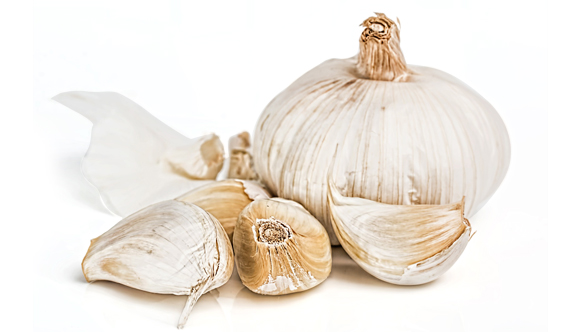 garlic is a great food for boosting immunity