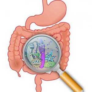 Factors Contributing To Excess Stomach Acid