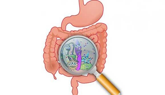 Factors Contributing To Excess Stomach Acid