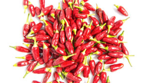 Red chillis