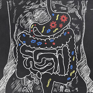 Probiotics – The Bacteria You Want!