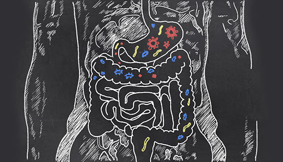 Probiotics – The Bacteria You Want!