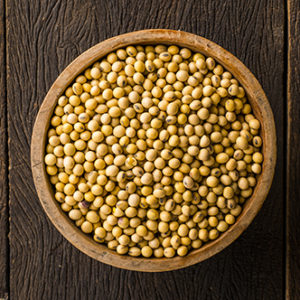 Soya Beans – The Elixir of Youth