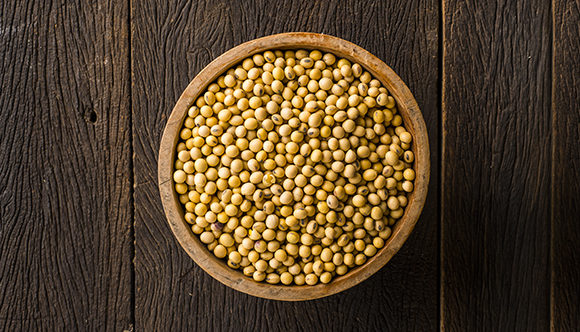 Soya Beans – The Elixir of Youth