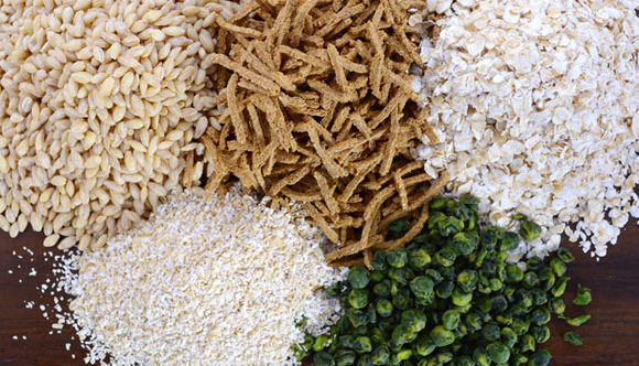 Importance of Fibre