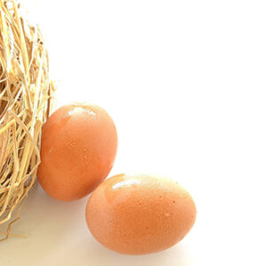 Are Omega-3 Eggs A Better Option?