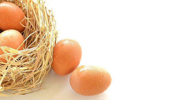 Are Omega-3 Eggs A Better Option?